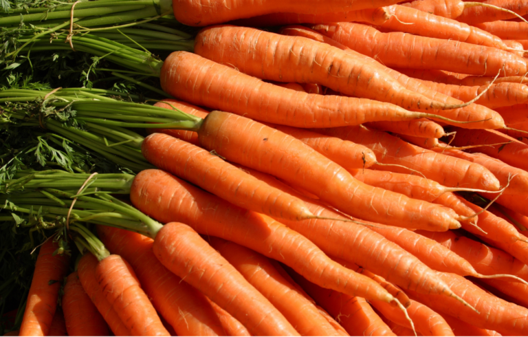 Easy Soup Maker Carrot and Coriander Soup
